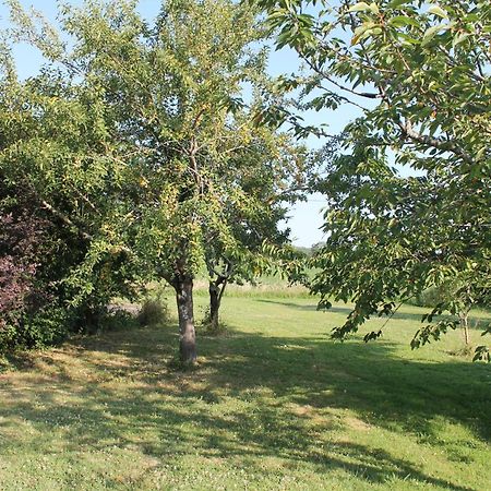 Suite Jomenisa Auriébat Exteriér fotografie