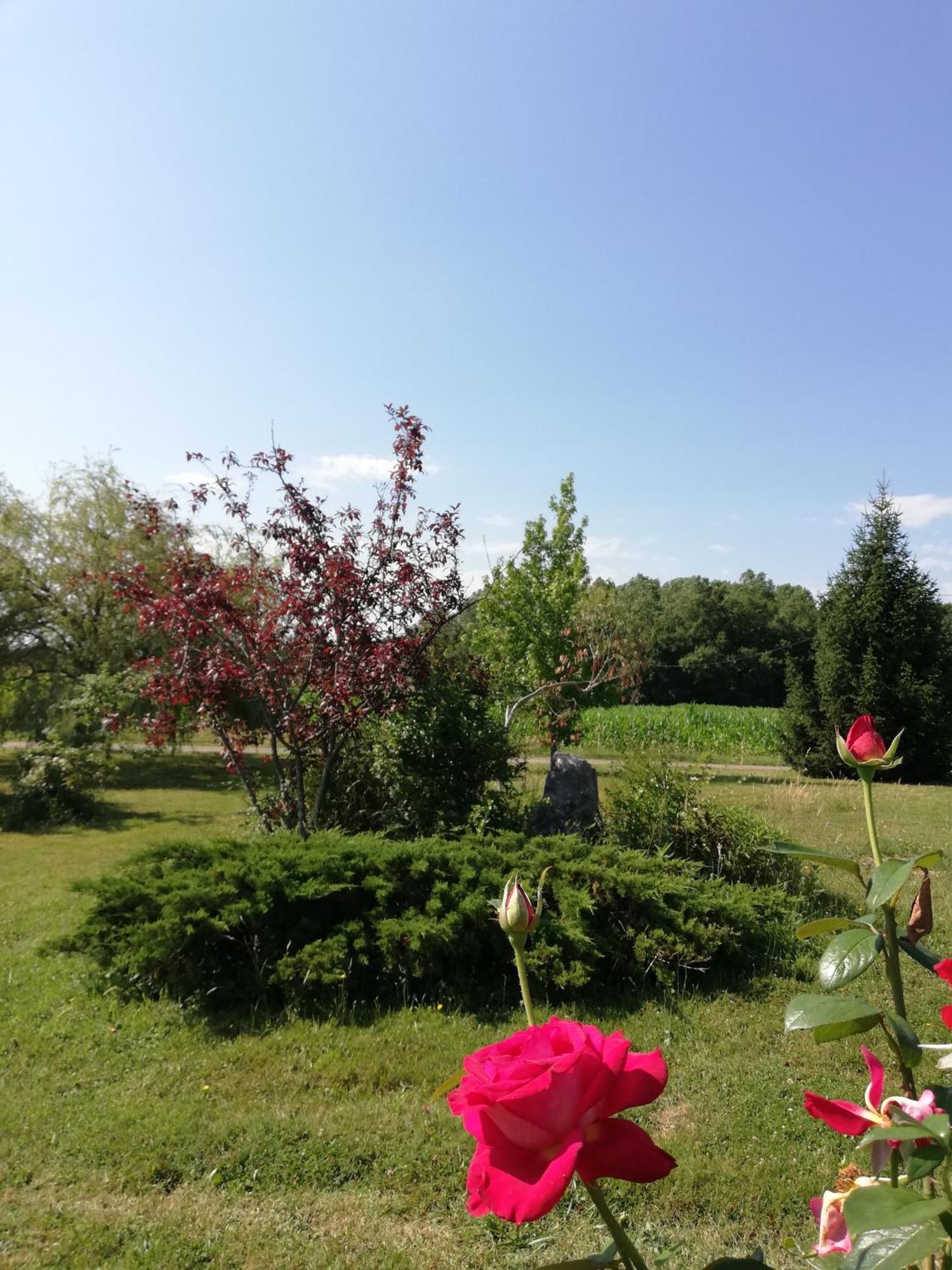 Suite Jomenisa Auriébat Exteriér fotografie